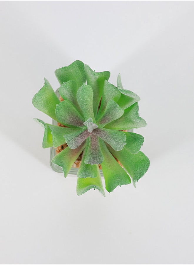 Rahalife Artificial Succulent Bonsai  - Image 2