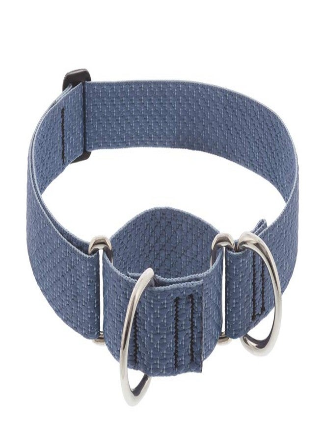 Lupine Martingale Dog Collar by Lupine ECO Collection 1" Wide Mountain Lake adjusts 15" to 22" - Image 1