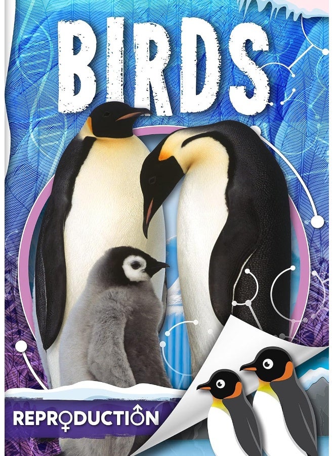 Birds - Image 1