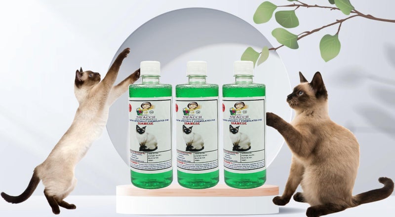 SWACCH Shampoo Specially FORMULATED for Siamese (500ML) (Pack of 3) Neem Alovera - Image 2