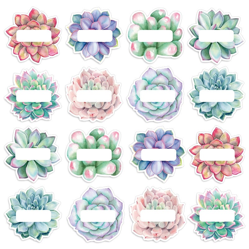 Whaline 80Pcs Back to School Succulent Cutout Name Tag Stickers 8 Designs Rustic Bloom Classroom Blank Nameplate Sticker Bulletin Board Decoration Label Stickers for Summer Office School10 Sheet