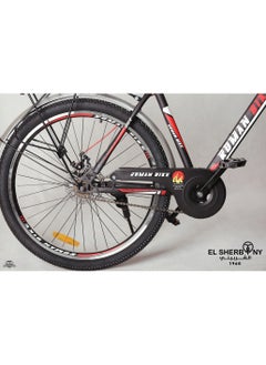 ROMAN BIKE 1 speed - pzsku/Z99EA254FAA34B1D45853Z/45/_/1735551608/3debf234-5bac-4cfb-a668-a2cbd927d582