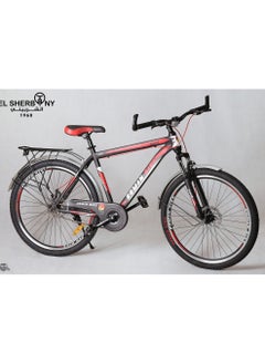 ROMAN BIKE 1 speed - pzsku/Z99EA254FAA34B1D45853Z/45/_/1735551608/5f17492d-5370-4a28-902c-f451a25f5bd2