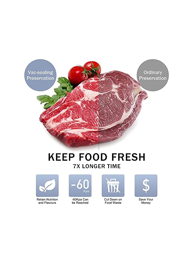 Raxoom Sealer Machine, Led Indicator Lights/Automatic Dry & Wet Food Sealers Vacuum Packing Machine,Food Vacuum Air Sealing System For Food Preservation Storage Saver, Dry & Moist Food Modes - Image 2