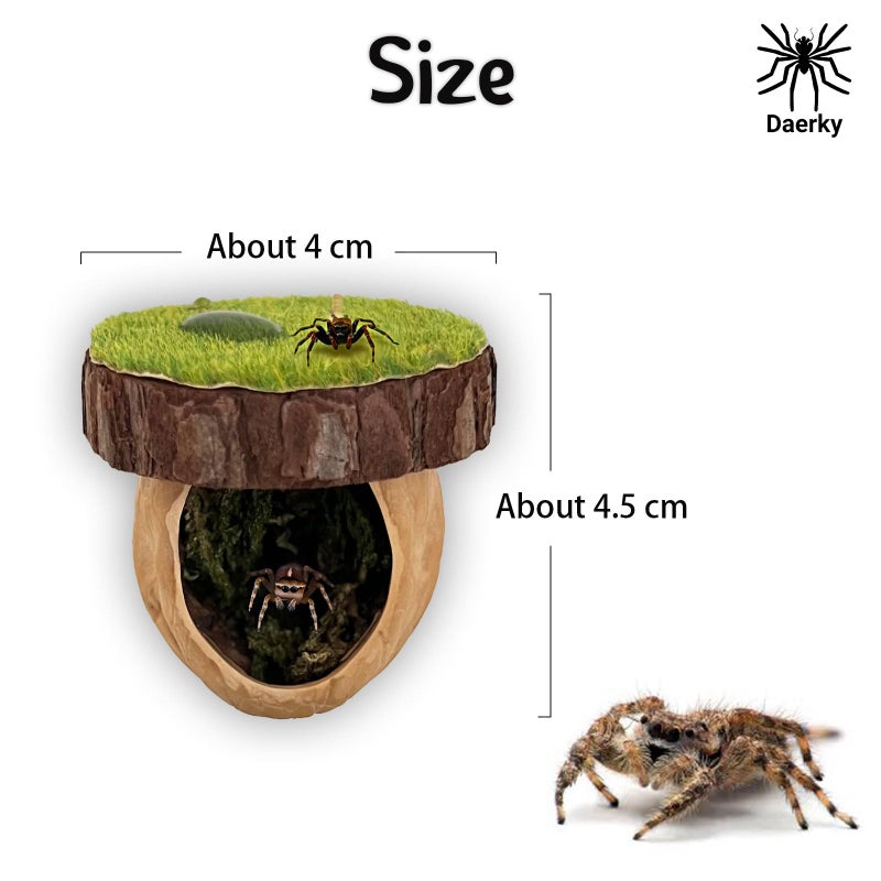 Daerky Jumping Spider Hideout - Magnetic Hiding Habitat, Climbing Platform, Handmade Fence Accessory From Natural Materials, Suitable for Small Insects - Image 3