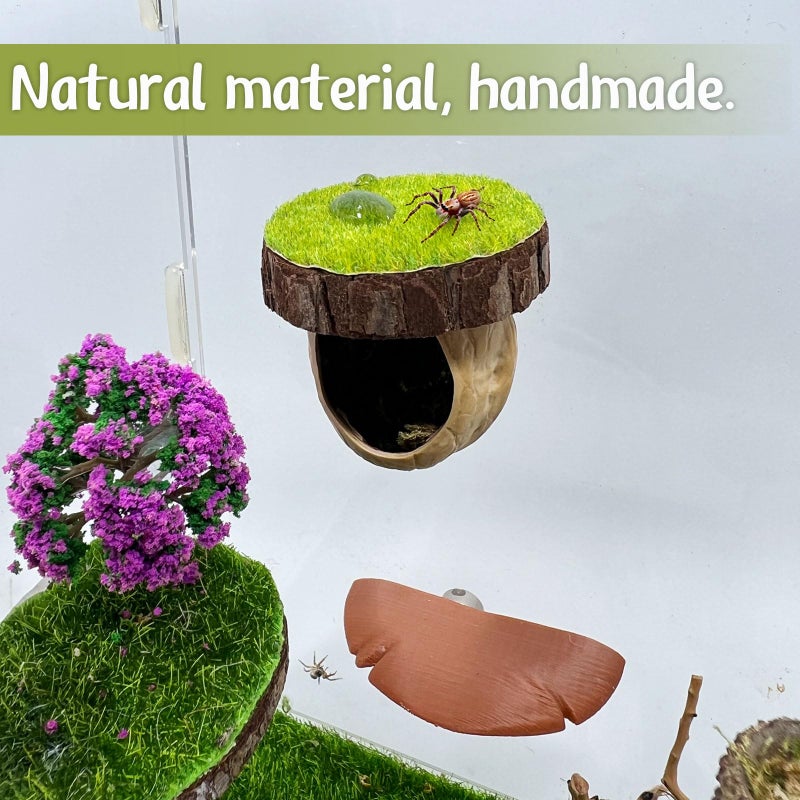Daerky Jumping Spider Hideout - Magnetic Hiding Habitat, Climbing Platform, Handmade Fence Accessory From Natural Materials, Suitable for Small Insects - Image 2