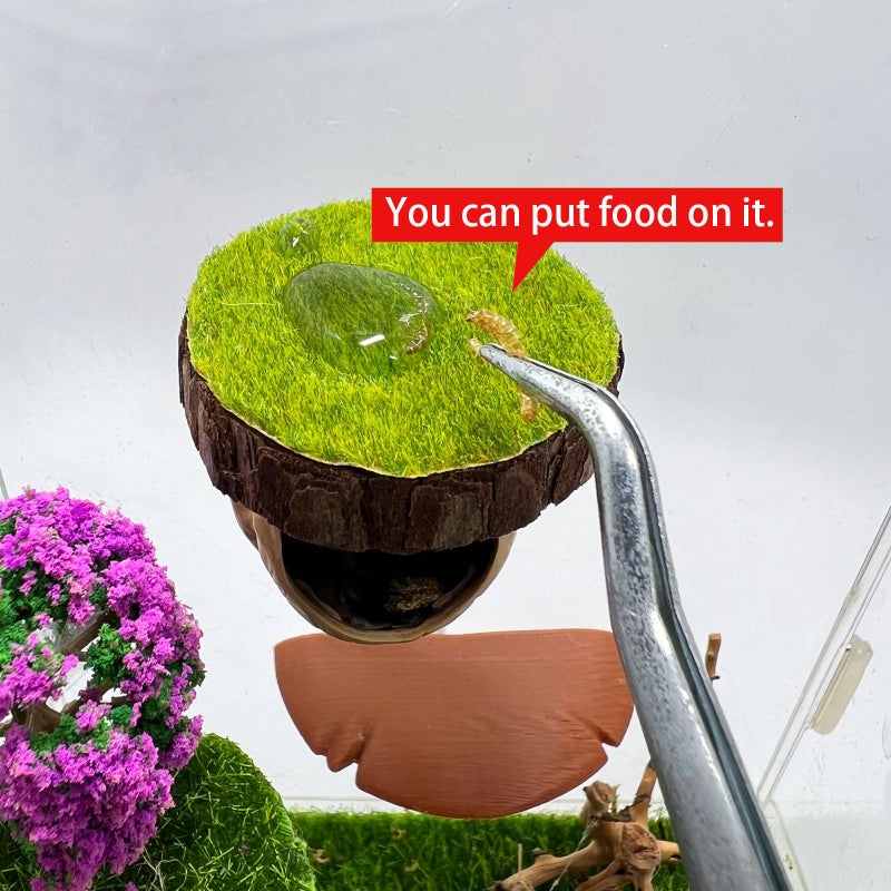Daerky Jumping Spider Hideout - Magnetic Hiding Habitat, Climbing Platform, Handmade Fence Accessory From Natural Materials, Suitable for Small Insects - Image 5