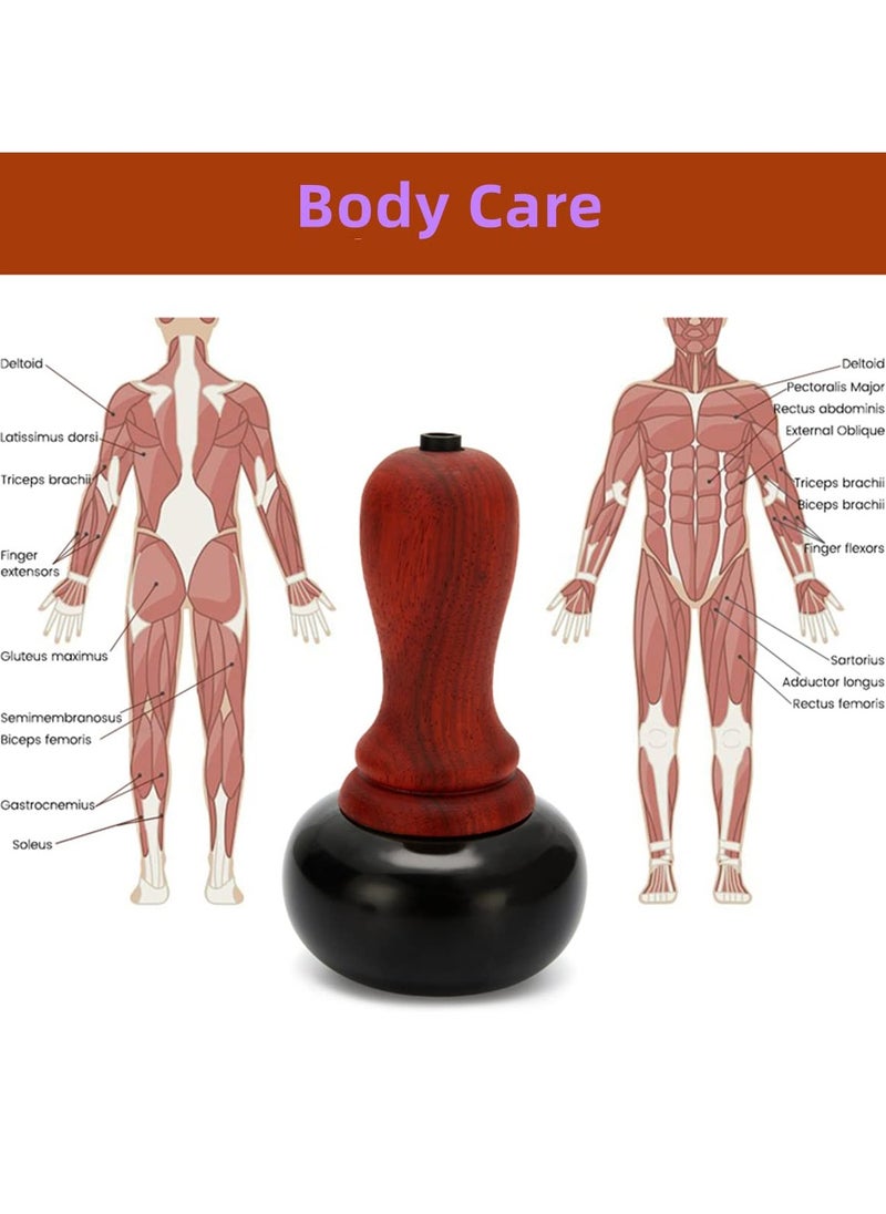 Generic Electric Hot Stone Massage Kit with Bian Stone Gua Sha Tools for Spa, Relaxation and Pain Relief, Perfect for Massage Therapy  - Image 3