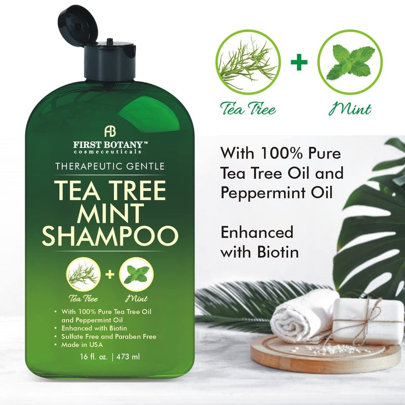 First Botany Tea Tree Mint Shampoo & Conditioner for Men & Women - Pure Tea Tree & Peppermint Oil - Fights Hair Loss, Dandruff, Lice & Itchy Scalp, Promotes Hair Growth - Sulfate Free - 16 Fl Oz x 2 - Image 3