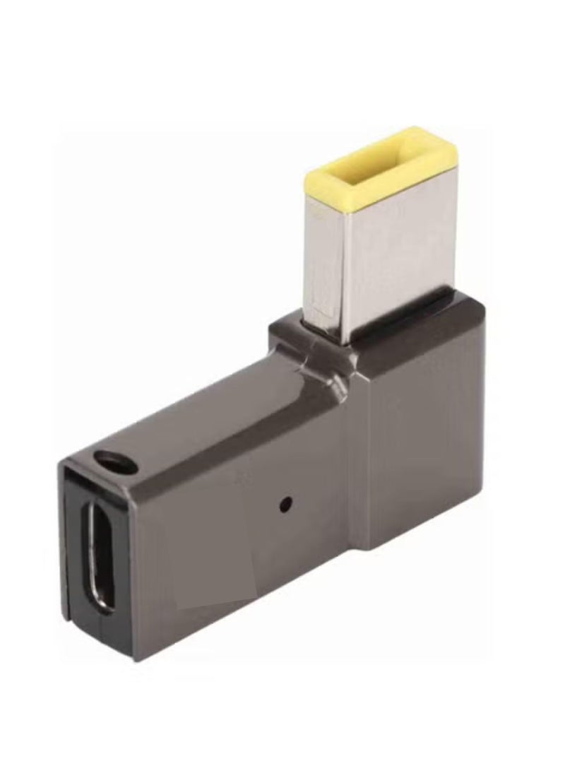 Terabyte Charging Adapter 100W USB-C / Type-C Female to Big Square Computer Charging Adapter - Image 1