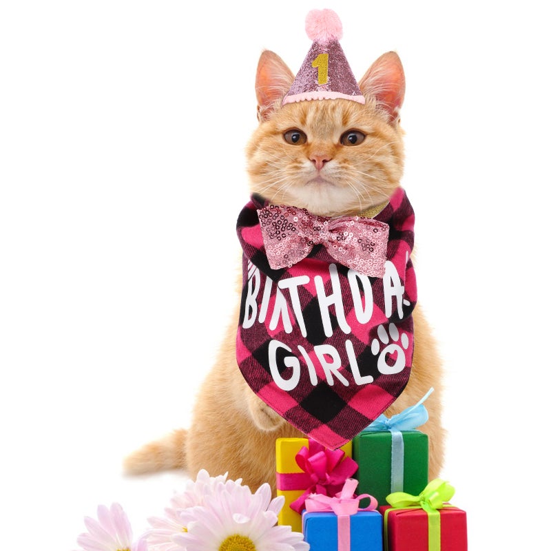 🐾 مريلة عيد ميلاد للحيوانات الأليفة مع قبعة وربطة عنق للتصوير الاحتفالي - Image 3