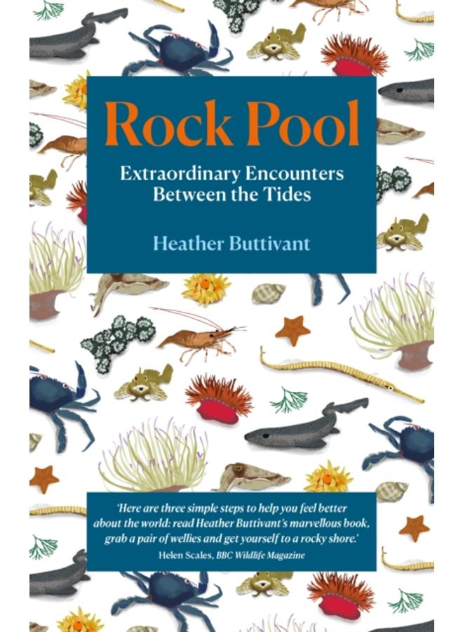 Rock Pool : Extraordinary Encounters Between the Tides
