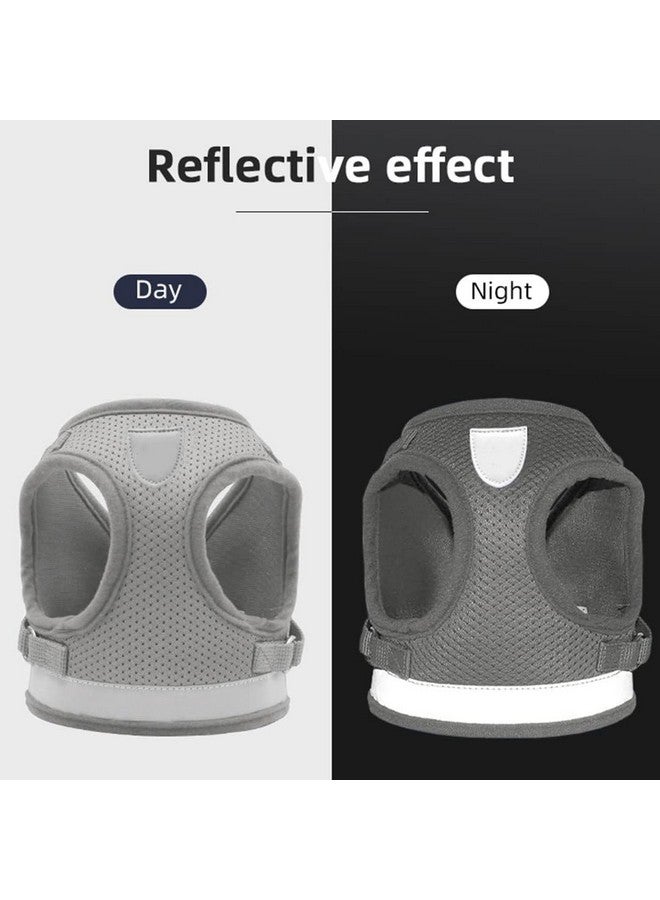 هارتس حزام عاكس للكلاب مع مقود قابل للتعديل | نسيج شبكي من البوليستر قابل للتنفس | حجم صغير | Ht-844 | قبضة مريحة لا تسحب | مشابك سريعة الفك | حزام سهل الارتداء والخلع | رمادي - Image 3