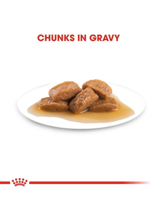 ROYAL CANIN حجم صحة التغذية ماكسي للبالغين (طعام رطب - أكياس) 10 × 140غ - Image 3