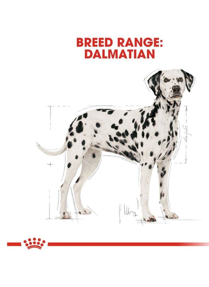 ROYAL CANIN Breed Health Nutrition Dalmatian Adult 12 KG - Image 5
