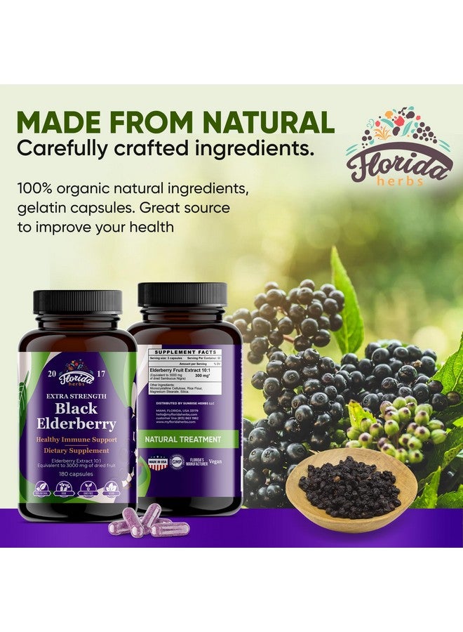 FLORIDA HERBS Black Elderberry Capsules | 180 Count | Sambucus Elderberry Vitamins, Non-GMO, Gluten Free, Organic Elderberry Extract Sambucus Nigra - Image 2