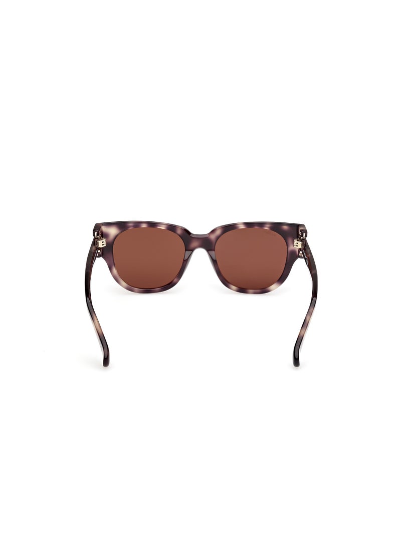 MaxMara - Oversized Sunglasses - Image 1
