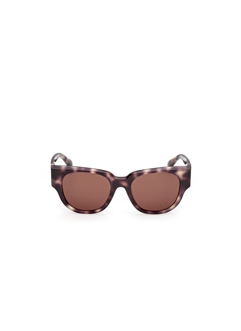 MaxMara - Oversized Sunglasses - Image 1