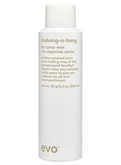 EVO Evo-love touch shine spray 100ml 