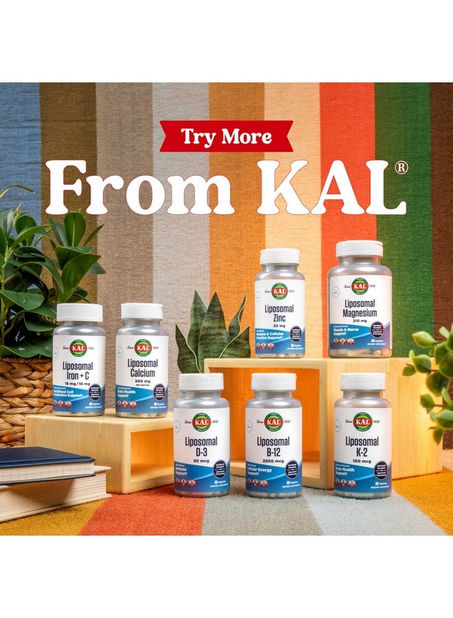 KAL Liposomal Multivitamin - High Potency Liposomal Vitamin C, D-3, and More - Men and Women Multivitamin for Cardiovascular and Nervous System Support - 30 Servings, 60 VegCaps - Image 5