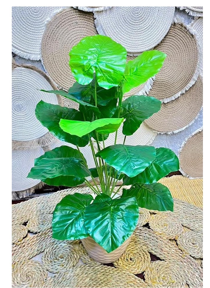 Generic Artificial pothos tree 