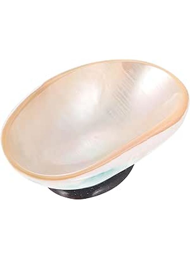 Creative Shell Sauce Dish Snack Holder Condiment Plate Smooth Polished Surface Safe Material Random Color - Image 1