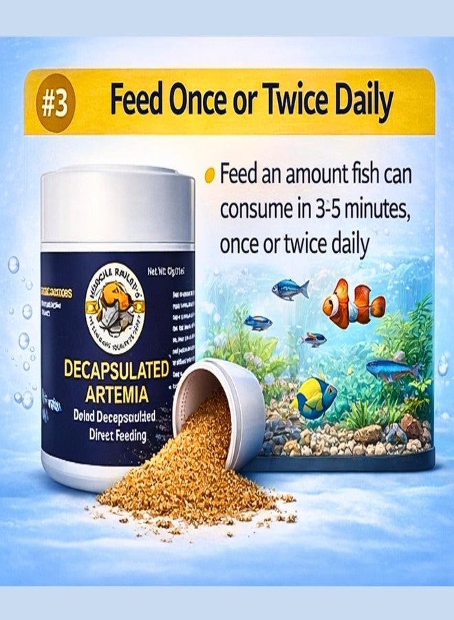 أرتيميا هوتش آند بيلي منزوعة القشرة، تغذية مباشرة، أكياس جافة 100%، 40 غرام، بيض روبيان مالح غني بالبروتين منزوع القشرة، للتغذية المباشرة، عبوة واحدة، لجميع مراحل الحياة. - Image 4