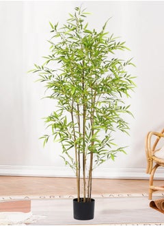 bamboo