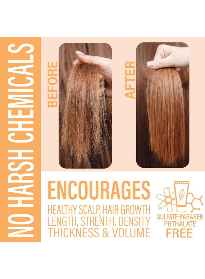 Luxiny Shampoo Bar, Natural, Made In Usa, Up To 60 Washes, Vegan, Sulfate Free, Mango, 2.2 Ounce, Shampoo Bar All Hair - Image 5