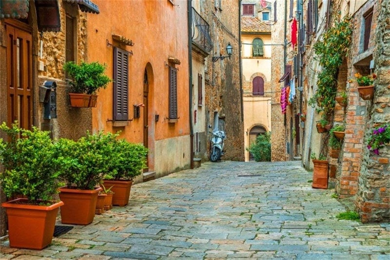 Laeacco 10x65ft Italy Old Town Small Narrow Alley Street Landscape Backdrop European Building Green Vine Italian Style Backdrop Travel Theme Birthday Party Photo Studio Prop Festival Room Decoration - Image 2