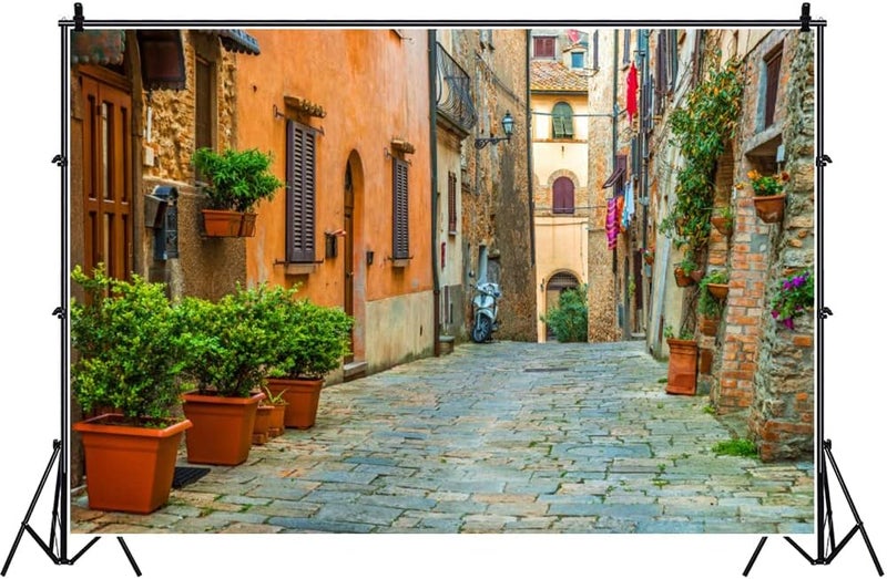 Laeacco 10x65ft Italy Old Town Small Narrow Alley Street Landscape Backdrop European Building Green Vine Italian Style Backdrop Travel Theme Birthday Party Photo Studio Prop Festival Room Decoration - Image 4