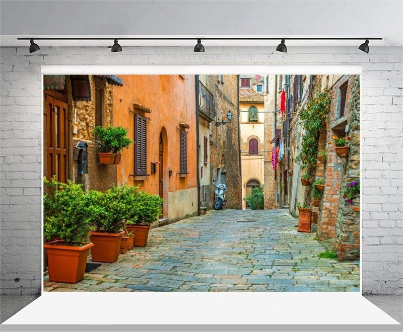 Laeacco 10x65ft Italy Old Town Small Narrow Alley Street Landscape Backdrop European Building Green Vine Italian Style Backdrop Travel Theme Birthday Party Photo Studio Prop Festival Room Decoration - Image 1