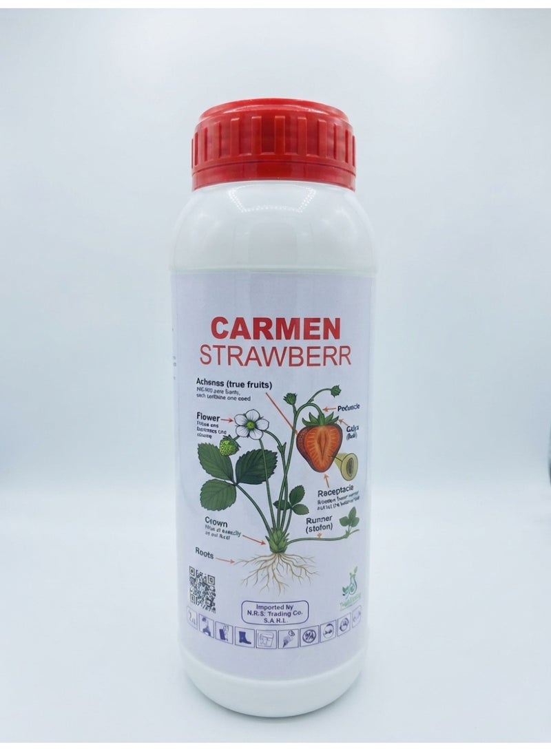 CARMEN STRAWBERR Special Integrated Fertilizer for Strawberry Growth & Fruit Quality