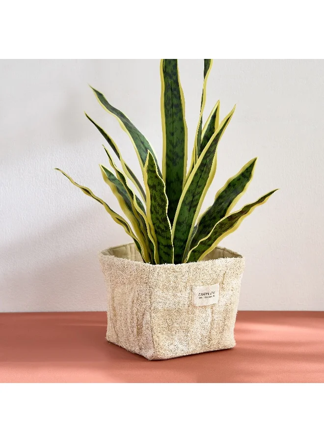 هوم بوكس بيت زراعة بيلا لوفا مع بطاقة خشبية