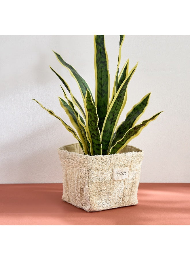 Home Box Bella Luffa Box Planter with Wooden Tag - 14x14x11 cm  - Image 1