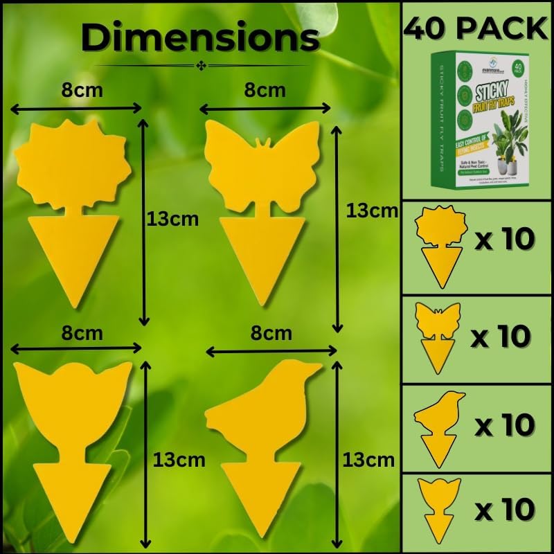 Evanmore Fruit Fly Traps Trap Indoor Sticky Yellow For Home Use Protect Plants Plant Houseplant Fungus Gnat Killer Insect Catcher Bug Catchers Control Pests Whitefly Non Toxic Odourless Safe Waterproof (40) - Image 2
