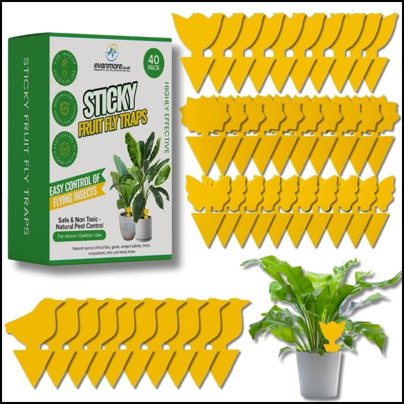 Evanmore Fruit Fly Traps Trap Indoor Sticky Yellow For Home Use Protect Plants Plant Houseplant Fungus Gnat Killer Insect Catcher Bug Catchers Control Pests Whitefly Non Toxic Odourless Safe Waterproof (40) - Image 1