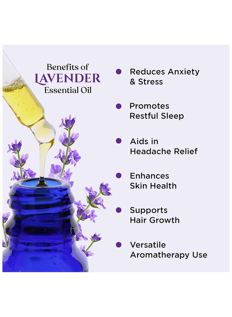 Rey Naturals ReyNaturals Lavender Essential Oil for Hair,Skin|100% Pure Lavender Oil with Natural Lavandula Angustifolia Extract 15 ml - Image 3