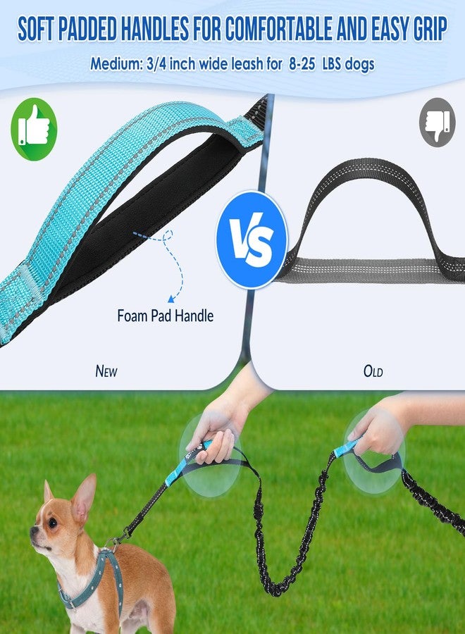 AUTOWT Hands Free Dog Leash for 2 Dogs, Adjustable Waist Belt with Zipper Pouch, Dual Handle Retractable Elastic Bungee with Reflective Stitches for Medium and Large Dogs Training Running - Image 3