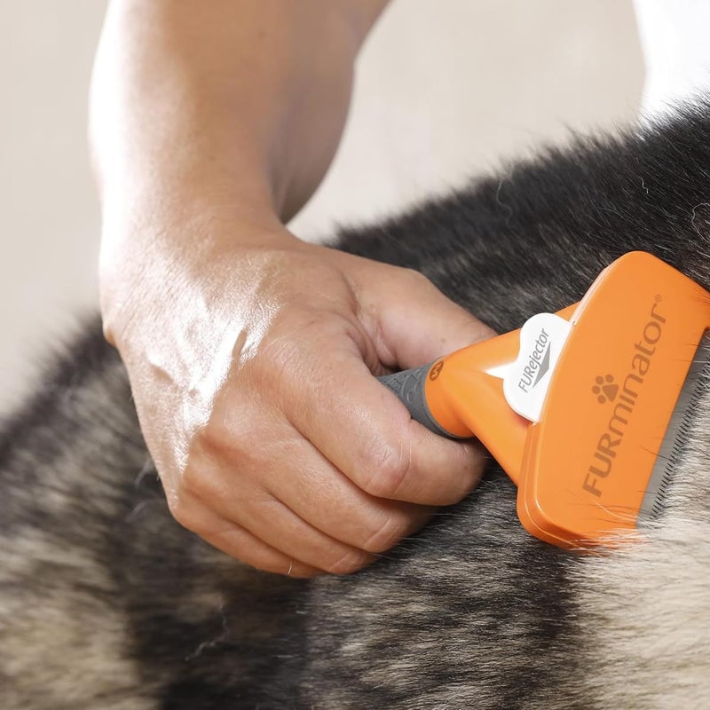فورمينوتر أداة إزالة الطبقة السفلية من الفرو من FURminator للكلاب ذات الشعر الطويل المتوسط، وزن 9-23 كجم جودة ثابتة بالدفعة - Image 5