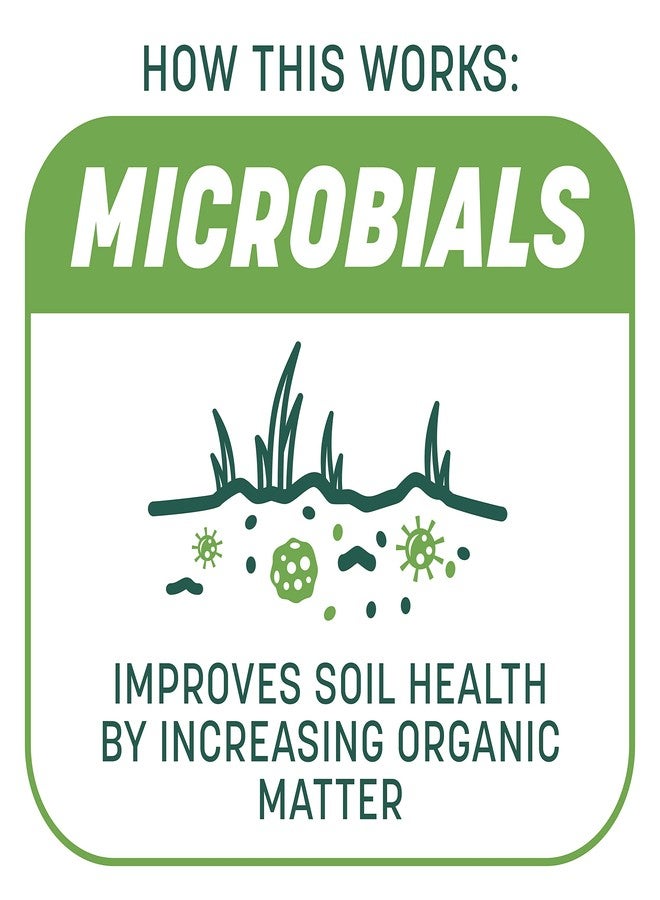 Pennington Smart Patch Tall Fescue Mix Jug 5 lb - Image 4