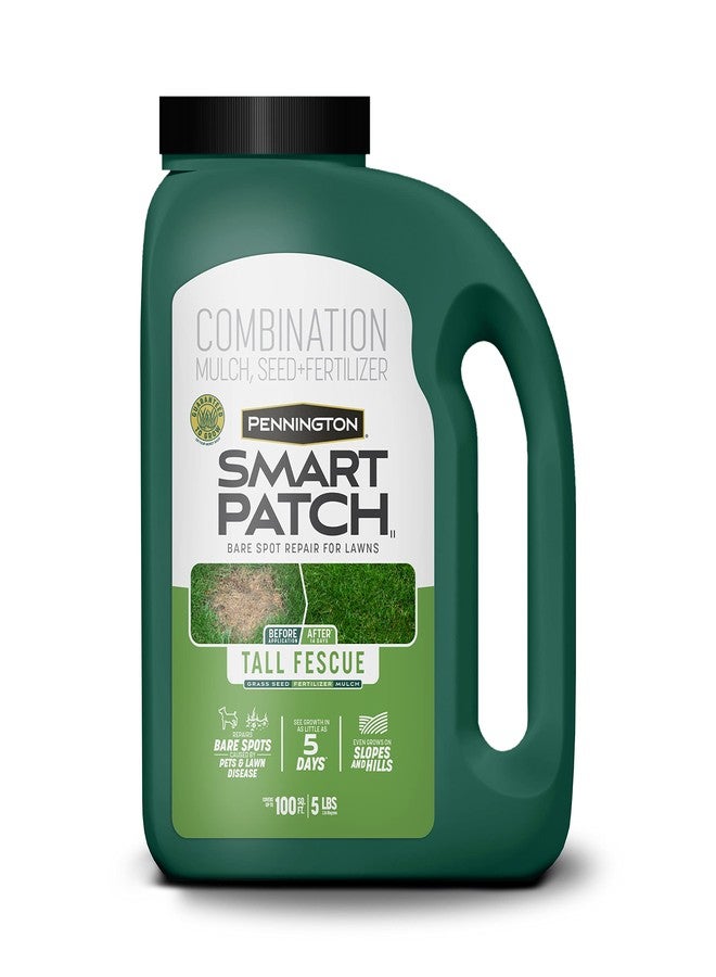 Pennington Smart Patch Tall Fescue Mix Jug 5 lb - Image 1