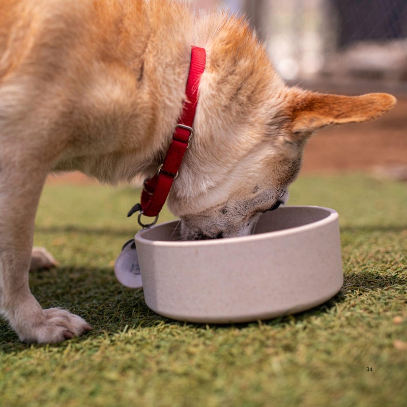 Loving Pets - Dolce Bamboo - Eco-Friendly Pet Bowls & Dishes for Dog, Cats, Puppy Food and Water Dish -Sustainable and Dishwasher Safe, Made with Real Bamboo (Medium, Oat-Beige) - Image 3