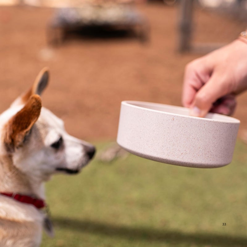 Loving Pets - Dolce Bamboo - Eco-Friendly Pet Bowls & Dishes for Dog, Cats, Puppy Food and Water Dish -Sustainable and Dishwasher Safe, Made with Real Bamboo (Medium, Oat-Beige) - Image 2