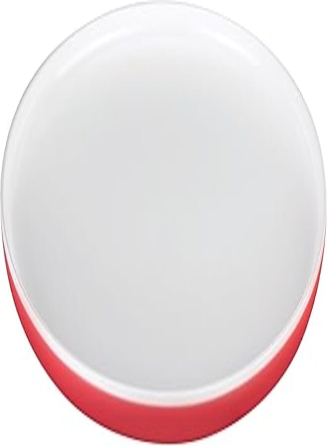 10" Flat Plate (Aira)