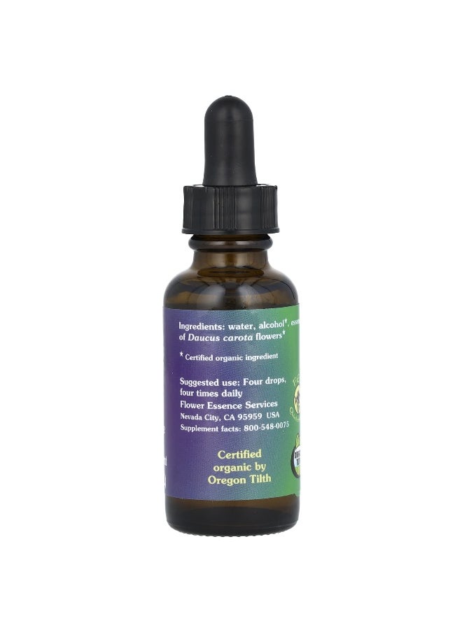 Flower Essence Services Flower Essence Services, Queen Anne's Lace, Flower Essence, 1 fl oz (30 ml)  - Image 2