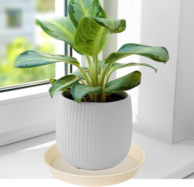Bleuhome 6 Pack of 12 inch Plant Saucer, Heavy Duty Plastic Plant Saucer 12" Round, Durable Plant Tray for Pots, Plant Saucers for Indoors, Plant Trays for Planter (12", Beige) - Image 4