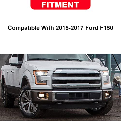 GPLUS G-PLUS Front Bumper Lower Grill Grille Trim Panel Compatible With Ford F150 2015-2017 FL3Z-17E810-CA - Image 2