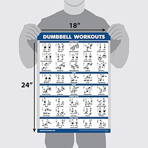 Palace Learning Dumbbell Workout Exercise Poster - Free Weight Body Building Guide | Home Gym Chart - LAMINATED, 18" x 24" - Image 2