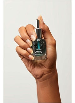 Nailtopia Nails Are Long Kit Supports Short/Long Nails & Dehydrated Cuticles Plantbased Non Toxic Biosourced Hardening & Conditioning Superfood Treatment Blueberry Extract (Clear) 2 Pc  - Image 2